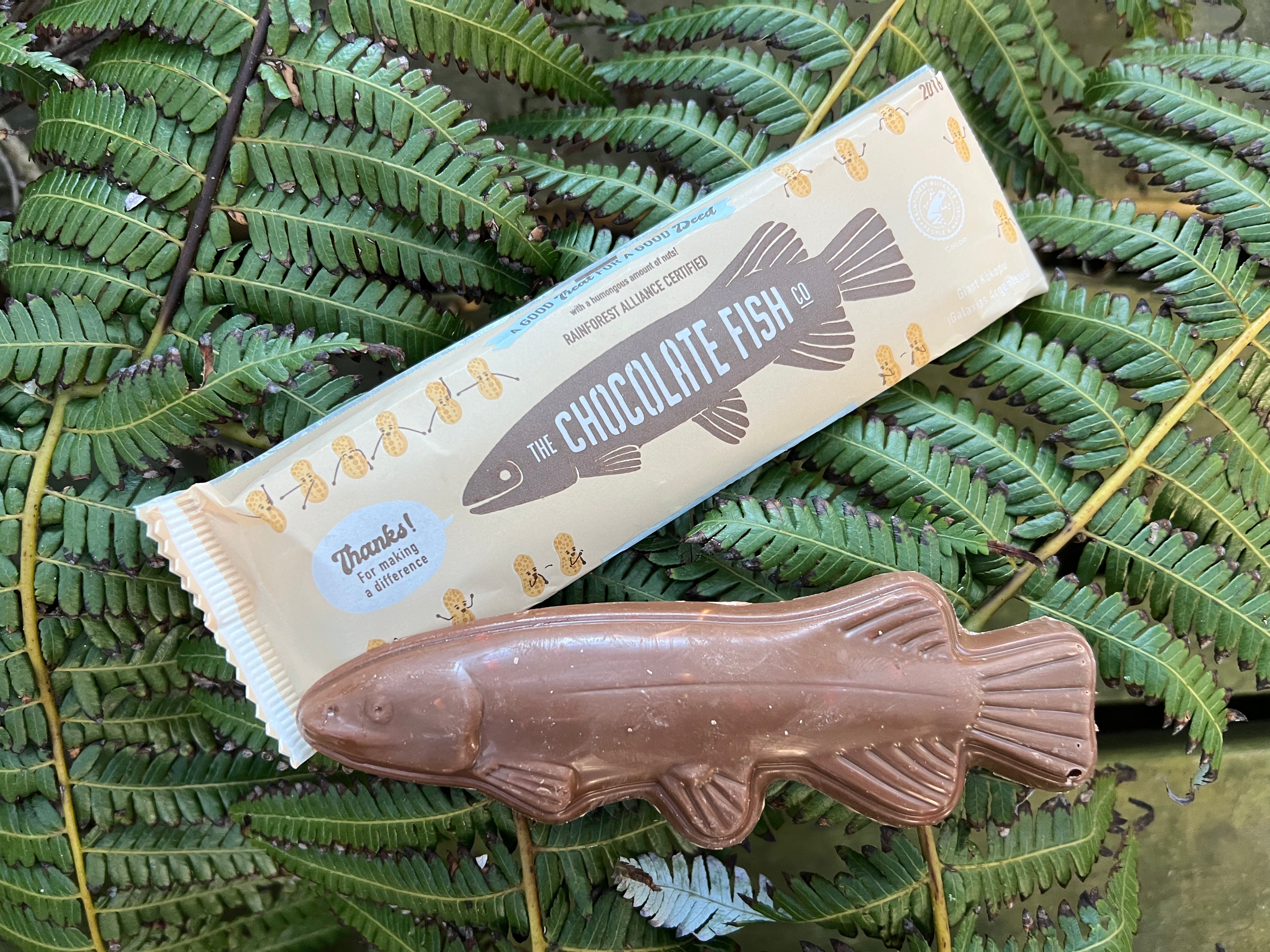 CHOCFISH THANK YOU PACK - new run ready to order now! – The
