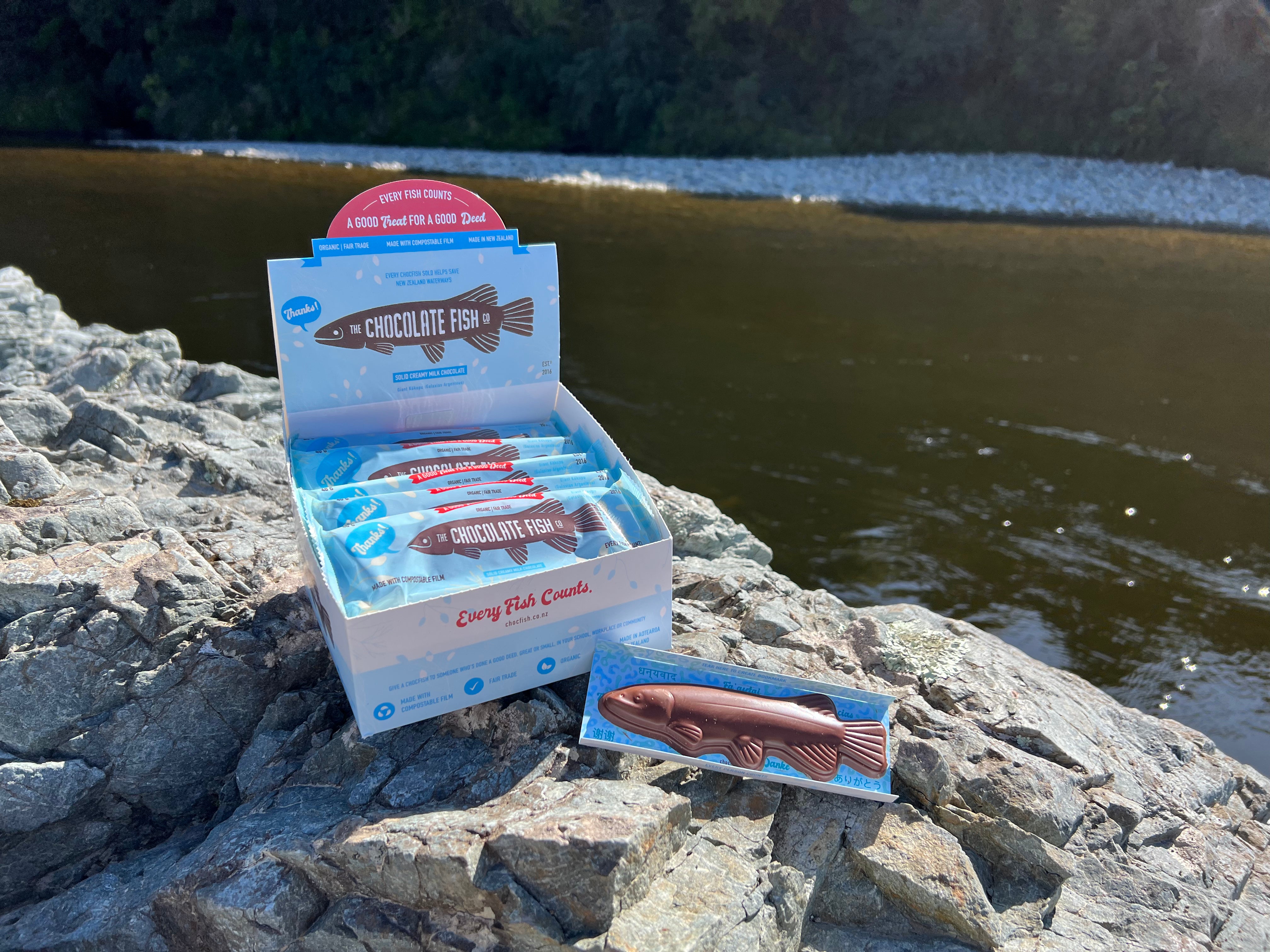 Chocholate Fish The Chocfish - NEW RUN READY NOW – The Chocolate Fish Company
